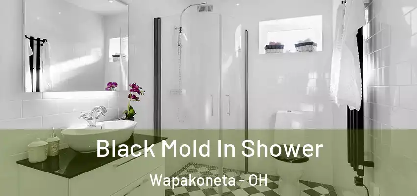  Black Mold In Shower Wapakoneta - OH