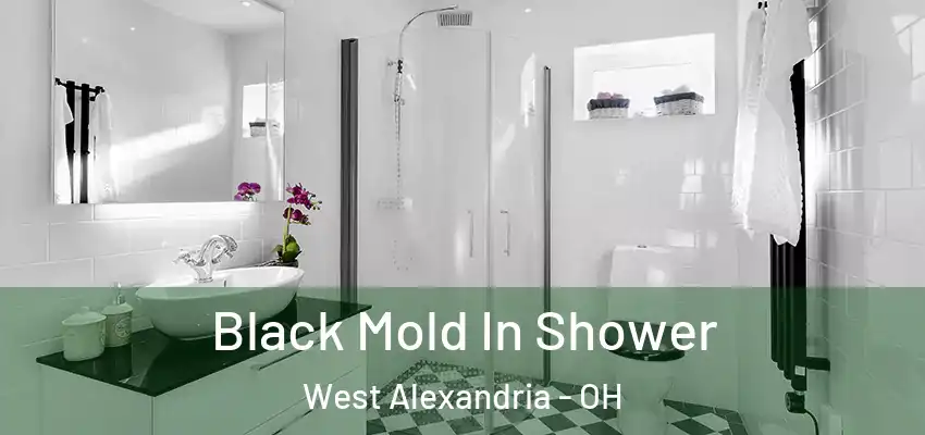  Black Mold In Shower West Alexandria - OH