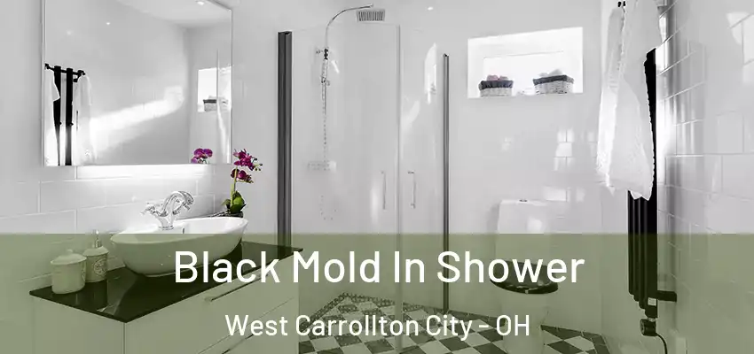  Black Mold In Shower West Carrollton City - OH