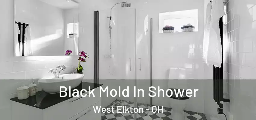  Black Mold In Shower West Elkton - OH