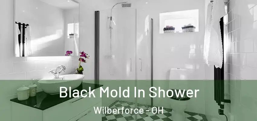  Black Mold In Shower Wilberforce - OH