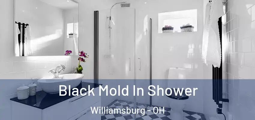  Black Mold In Shower Williamsburg - OH