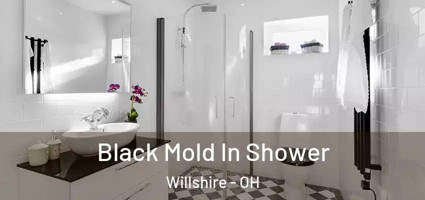  Black Mold In Shower Willshire - OH