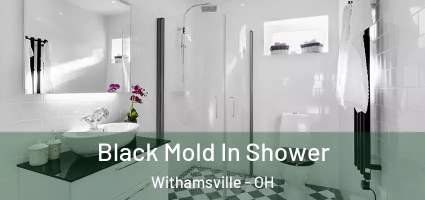 Black Mold In Shower Withamsville - OH