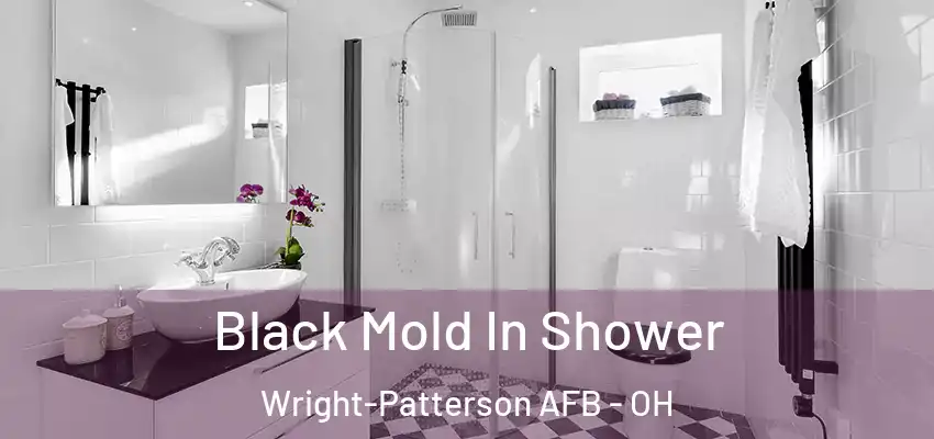  Black Mold In Shower Wright-Patterson AFB - OH