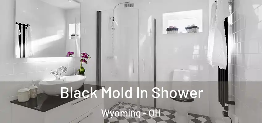  Black Mold In Shower Wyoming - OH
