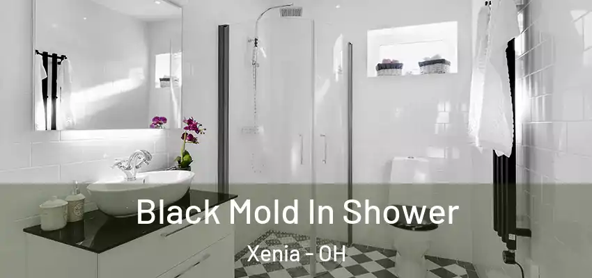  Black Mold In Shower Xenia - OH