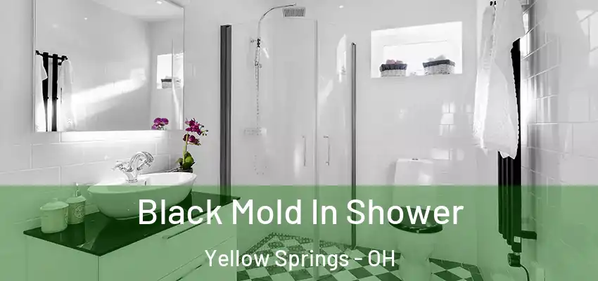  Black Mold In Shower Yellow Springs - OH