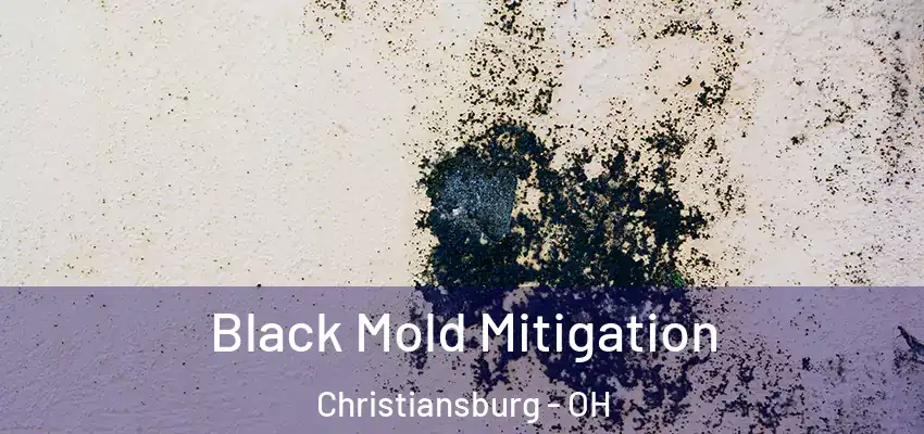  Black Mold Mitigation Christiansburg - OH