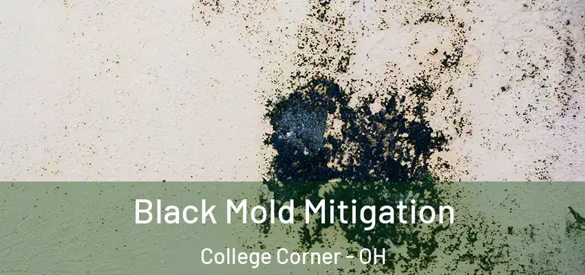 Black Mold Mitigation College Corner - OH