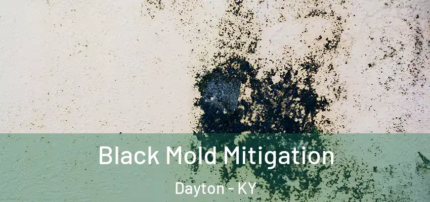 Black Mold Mitigation Dayton - KY
