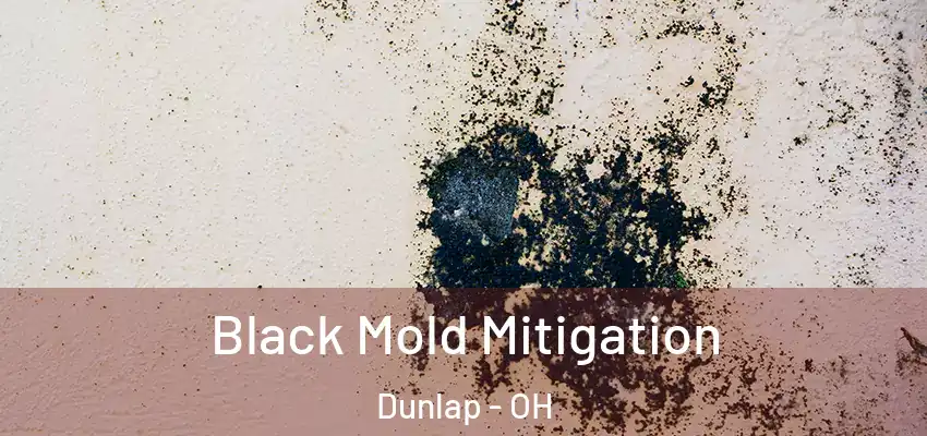 Black Mold Mitigation Dunlap - OH