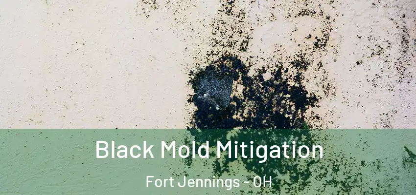  Black Mold Mitigation Fort Jennings - OH