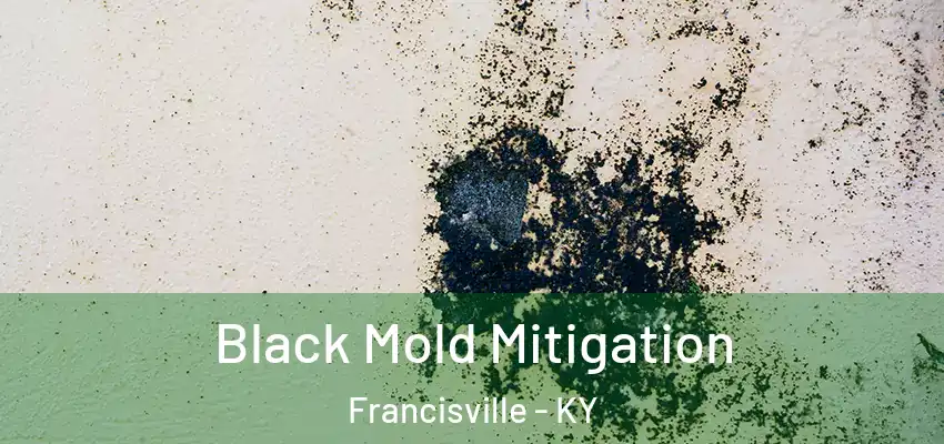  Black Mold Mitigation Francisville - KY