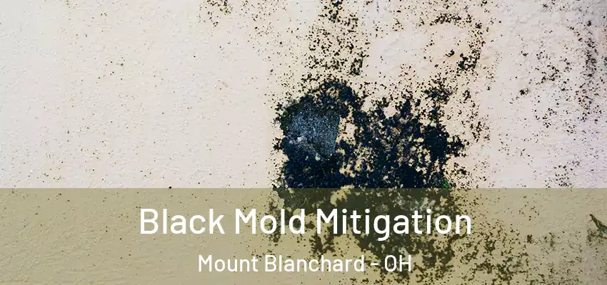  Black Mold Mitigation Mount Blanchard - OH