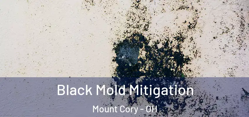 Black Mold Mitigation Mount Cory - OH