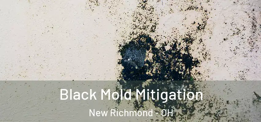Black Mold Mitigation New Richmond - OH