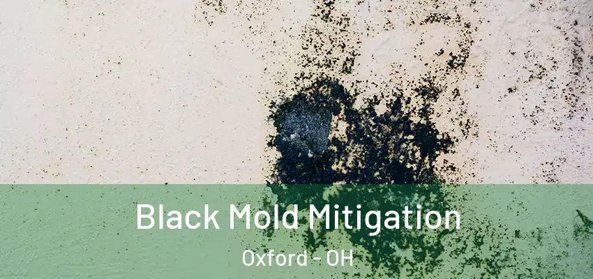  Black Mold Mitigation Oxford - OH