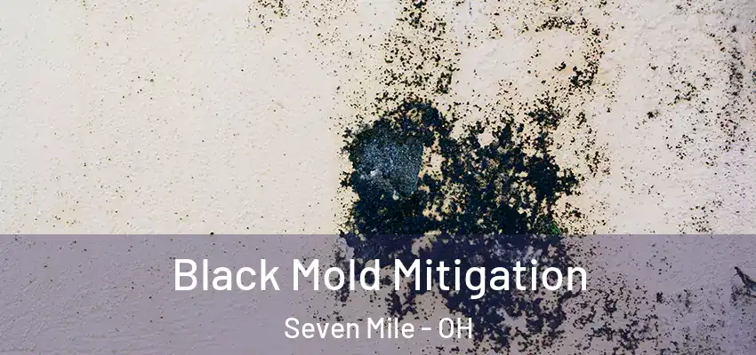 Black Mold Mitigation Seven Mile - OH