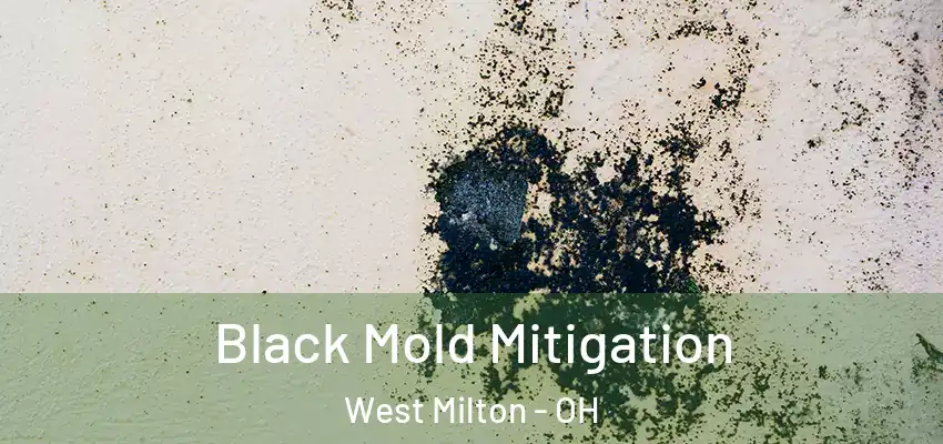  Black Mold Mitigation West Milton - OH
