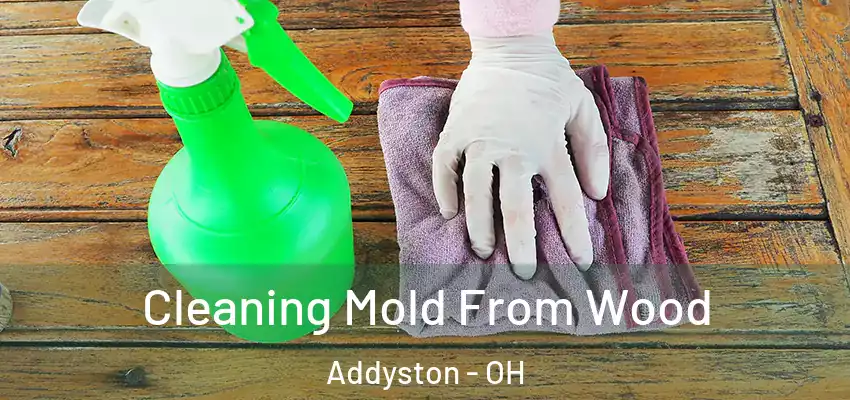 Cleaning Mold From Wood Addyston - OH