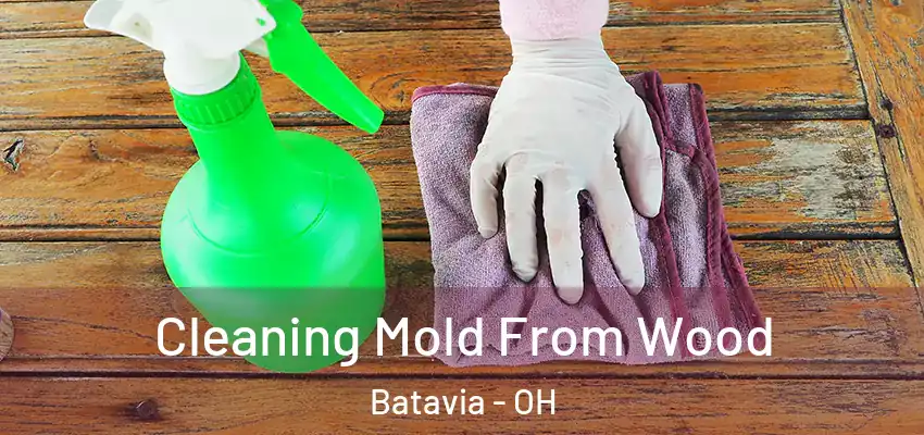  Cleaning Mold From Wood Batavia - OH