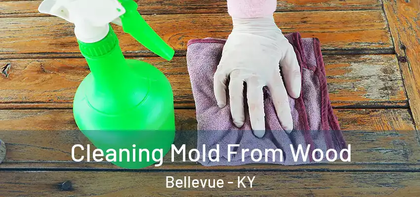  Cleaning Mold From Wood Bellevue - KY