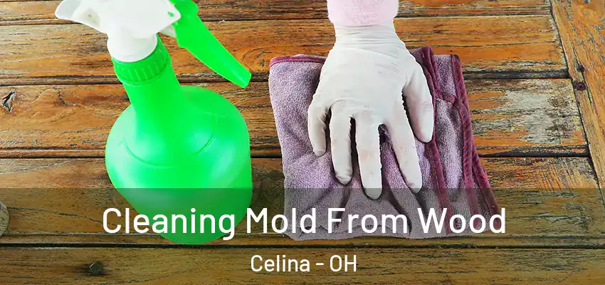  Cleaning Mold From Wood Celina - OH