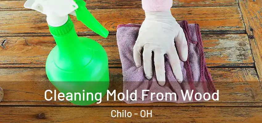  Cleaning Mold From Wood Chilo - OH