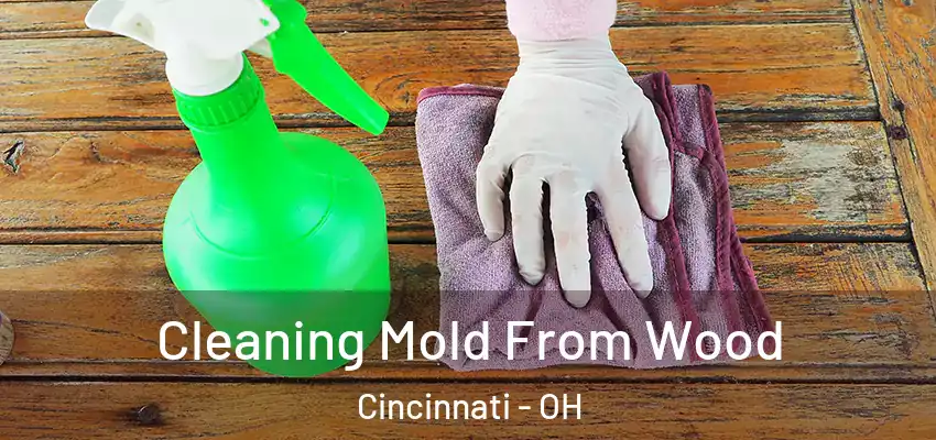  Cleaning Mold From Wood Cincinnati - OH