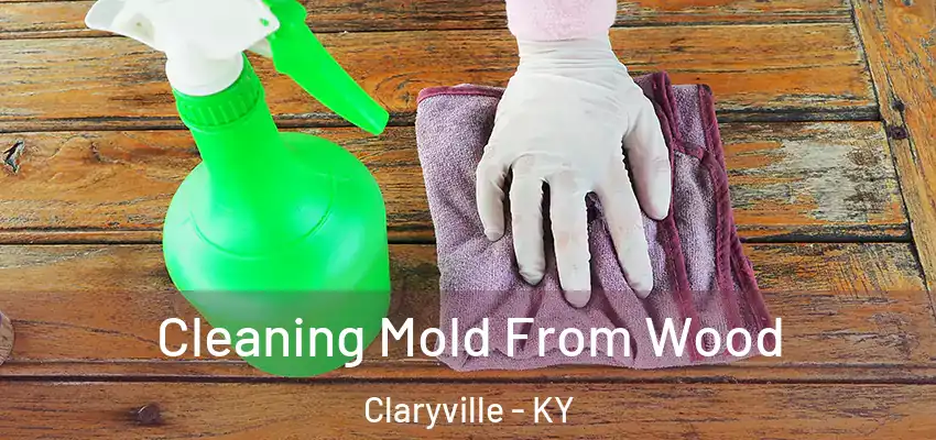  Cleaning Mold From Wood Claryville - KY