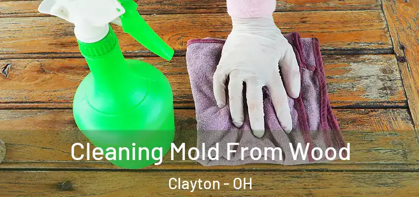 Cleaning Mold From Wood Clayton - OH