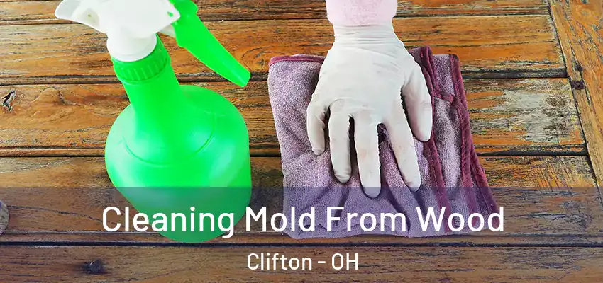 Cleaning Mold From Wood Clifton - OH