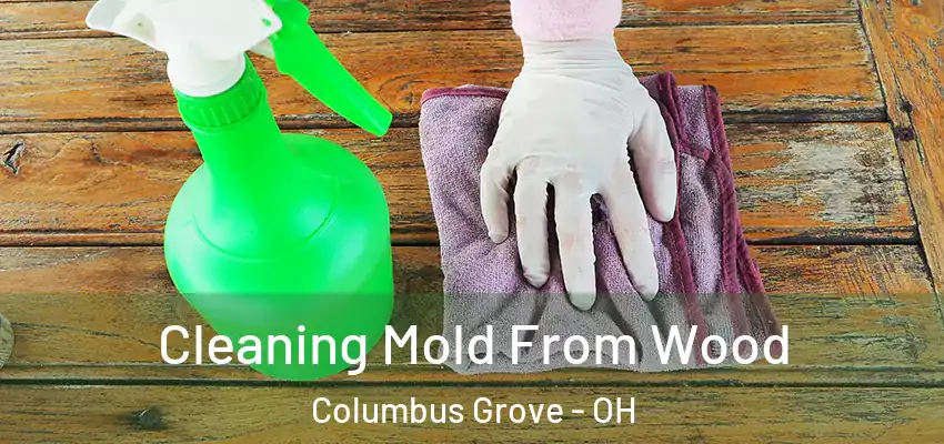  Cleaning Mold From Wood Columbus Grove - OH
