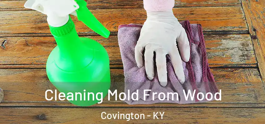  Cleaning Mold From Wood Covington - KY