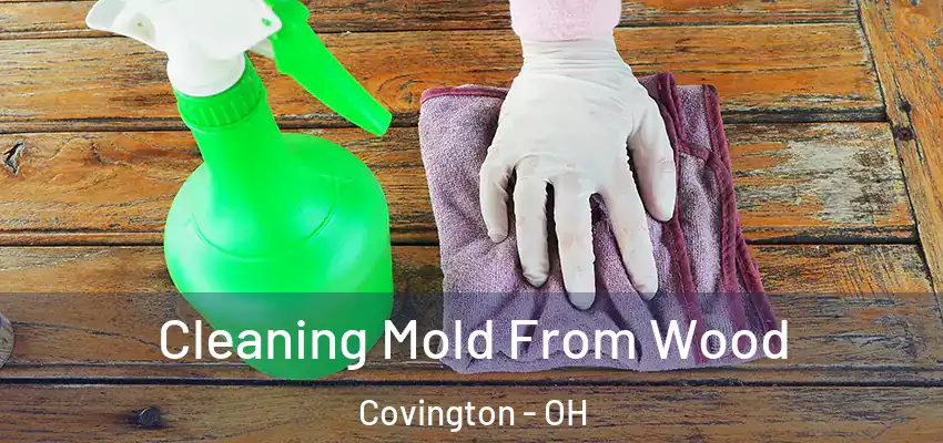  Cleaning Mold From Wood Covington - OH