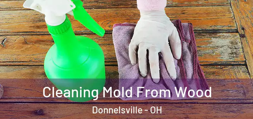  Cleaning Mold From Wood Donnelsville - OH