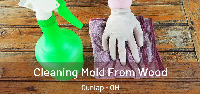  Cleaning Mold From Wood Dunlap - OH