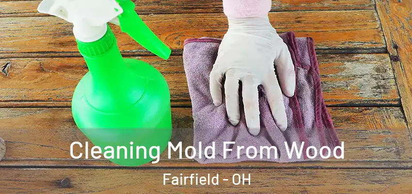 Cleaning Mold From Wood Fairfield - OH
