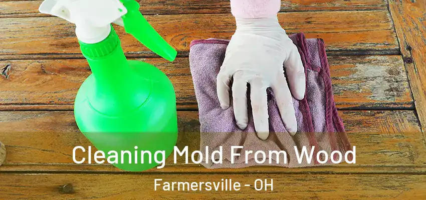  Cleaning Mold From Wood Farmersville - OH