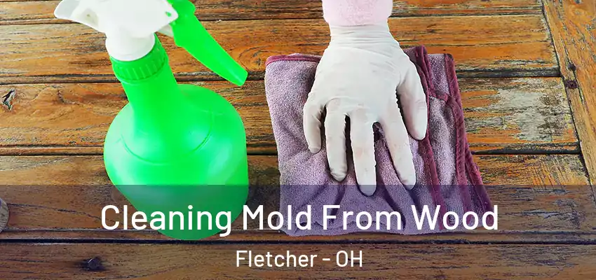  Cleaning Mold From Wood Fletcher - OH