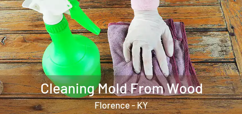  Cleaning Mold From Wood Florence - KY