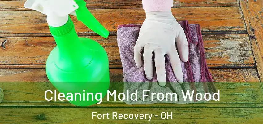  Cleaning Mold From Wood Fort Recovery - OH
