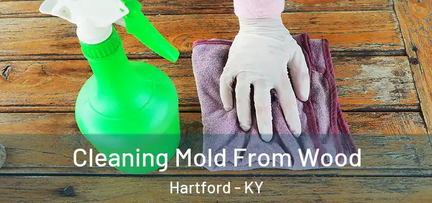  Cleaning Mold From Wood Hartford - KY