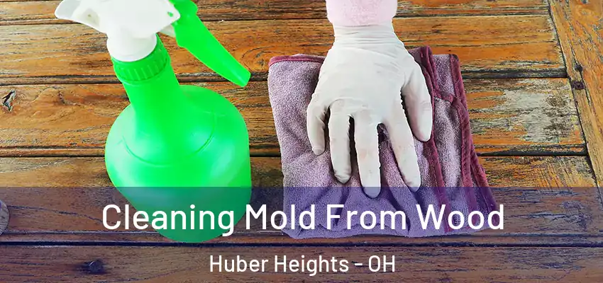  Cleaning Mold From Wood Huber Heights - OH