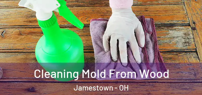  Cleaning Mold From Wood Jamestown - OH