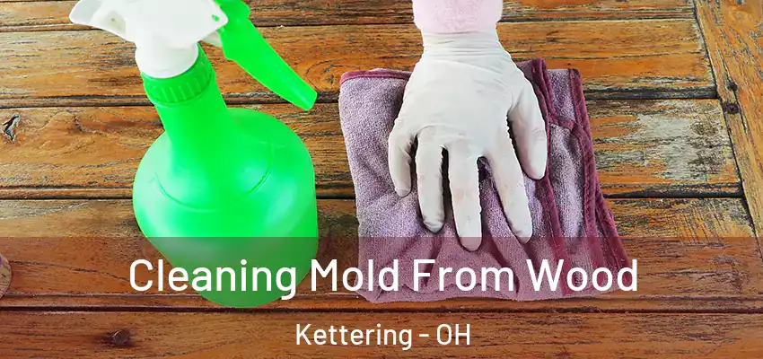 Cleaning Mold From Wood Kettering - OH