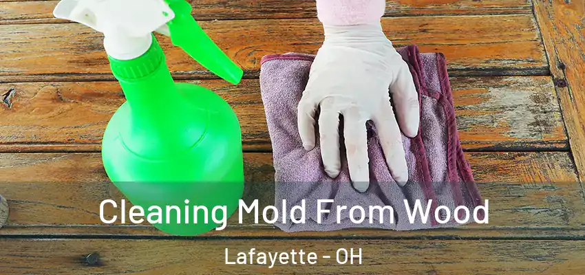  Cleaning Mold From Wood Lafayette - OH