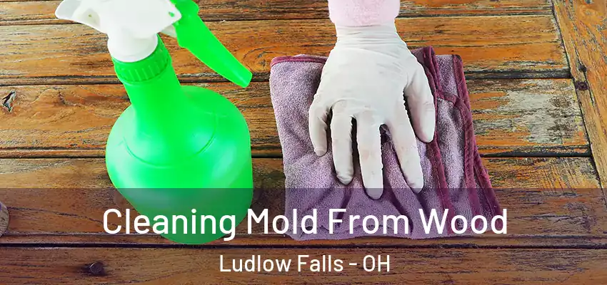  Cleaning Mold From Wood Ludlow Falls - OH
