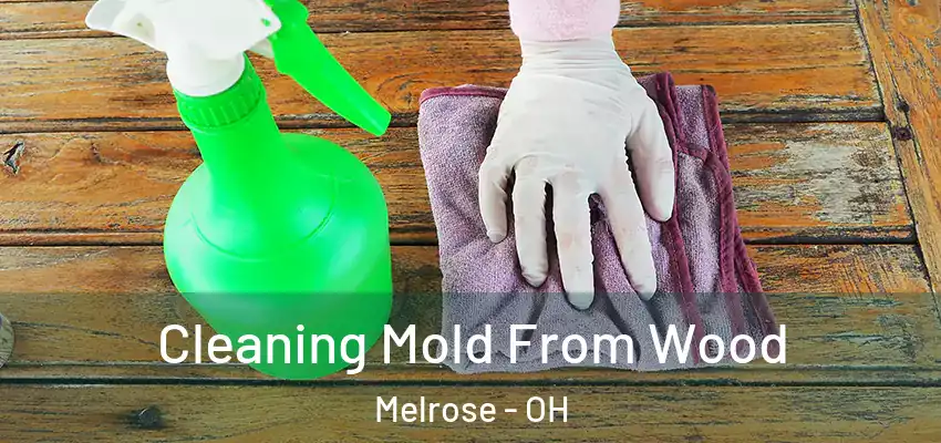  Cleaning Mold From Wood Melrose - OH
